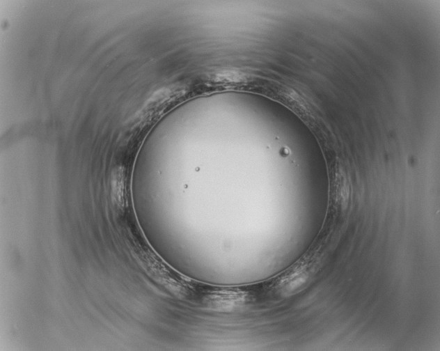 X0000057090328200509231656