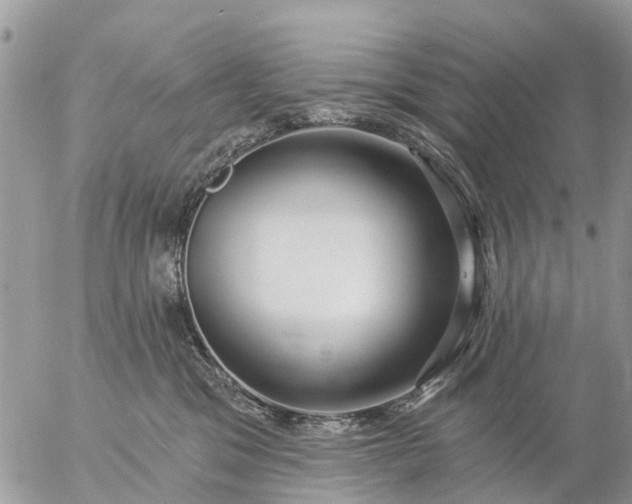 X0000057090329200509231656