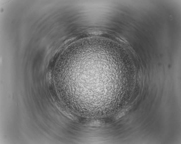 X0000057090330200509231656