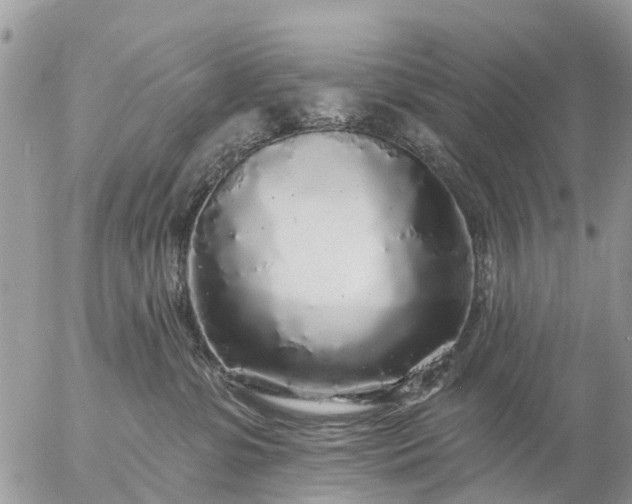 X0000057090331200509231656