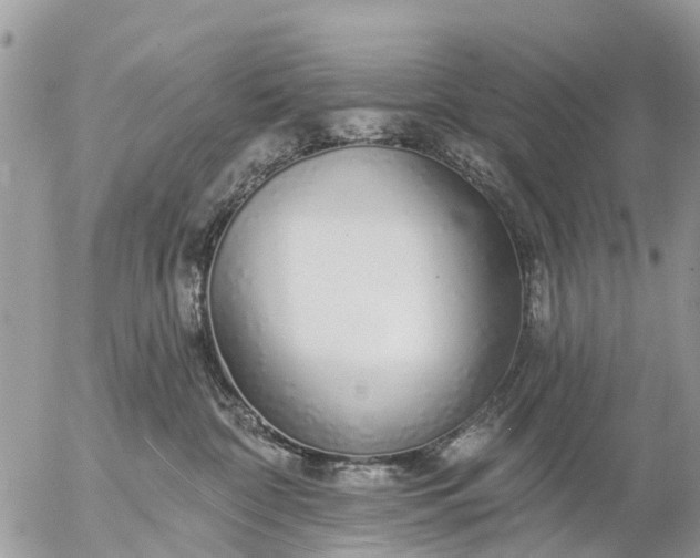 X0000057090332200509231656