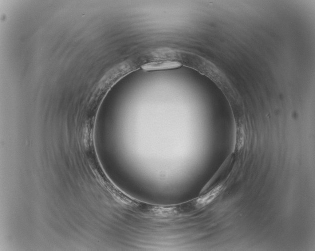 X0000057090333200509231656