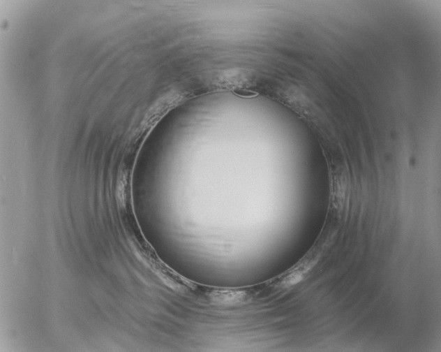 X0000057090334200509231656