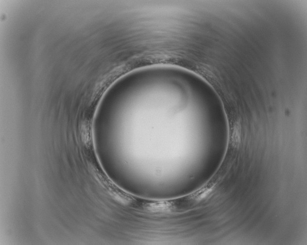 X0000057090335200509231656