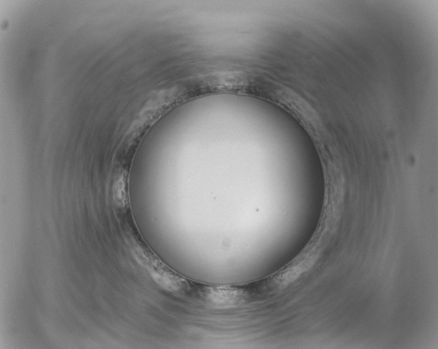 X0000057090336200509231656