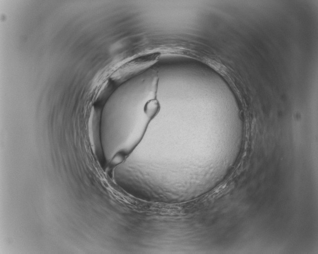 X0000057090337200509231655