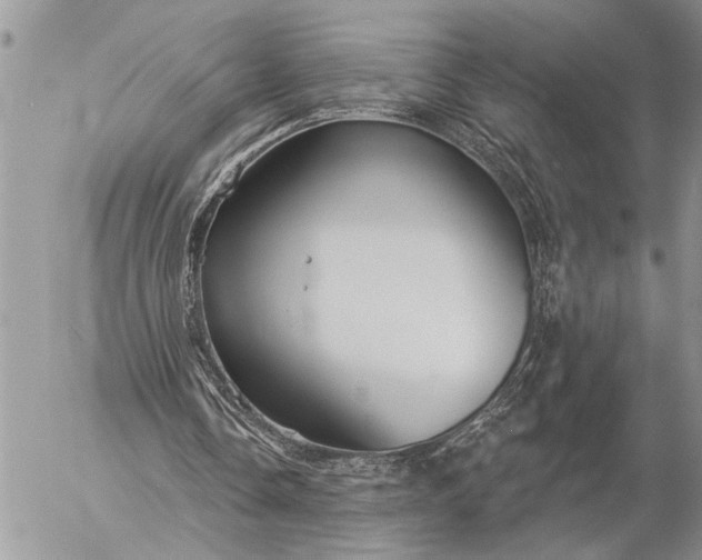 X0000057090338200509231655