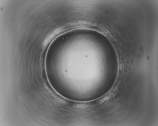 X0000057090341200509231655