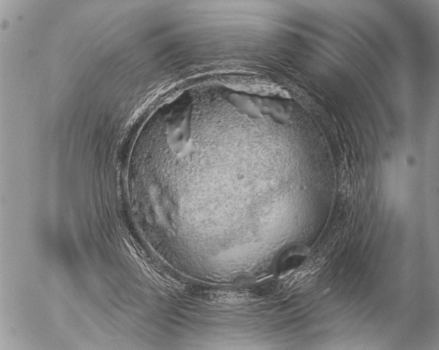 X0000057090347200509231655