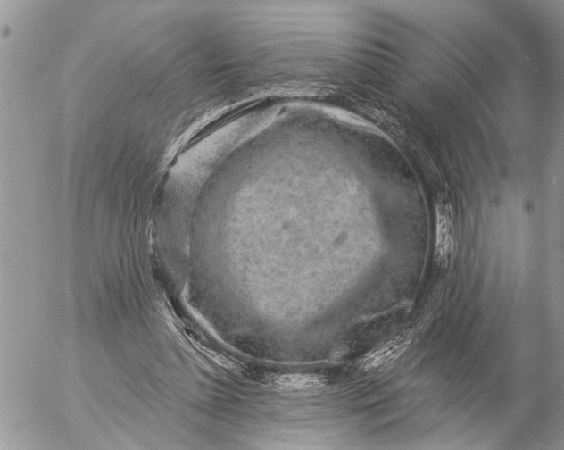 X0000057090348200509231655