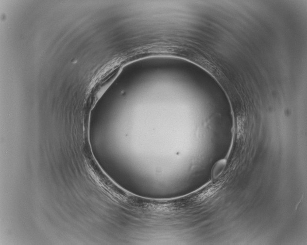 X0000057090349200509231655