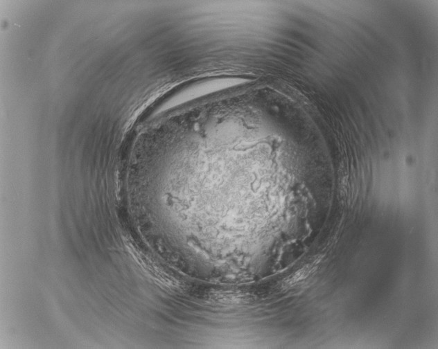 X0000057090351200509231656