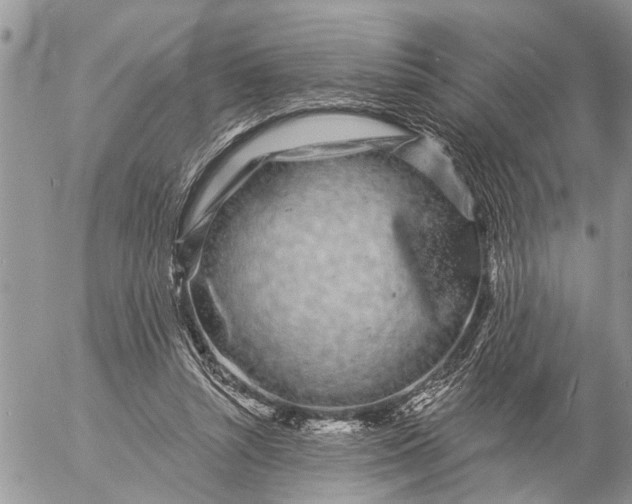 X0000057090352200509231656