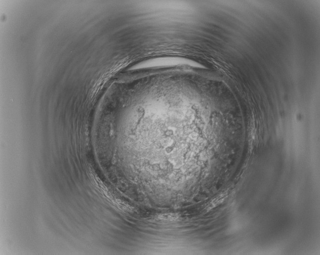 X0000057090353200509231656