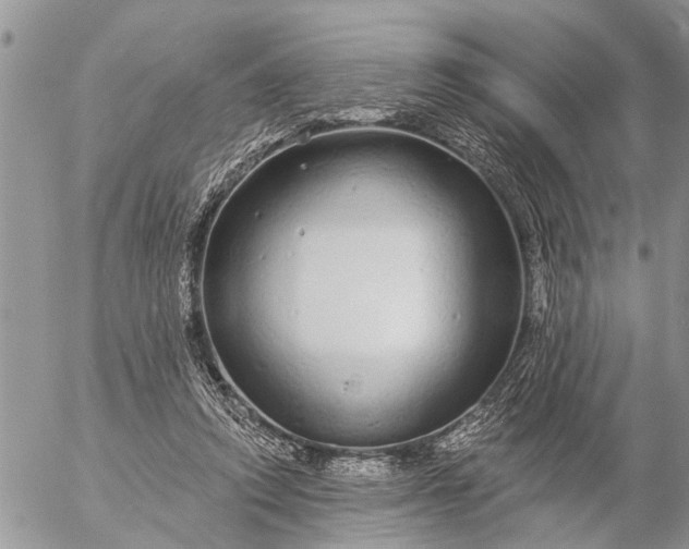 X0000057090354200509231656