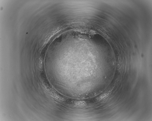 X0000057090355200509231656