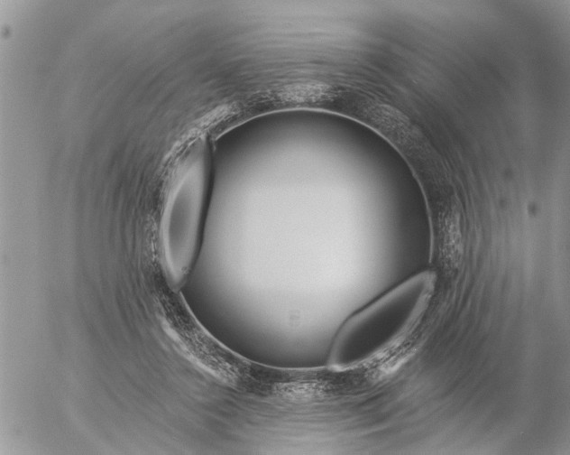 X0000057090356200509231656