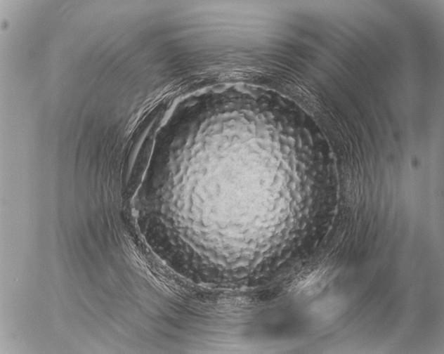 X0000057090357200509231656