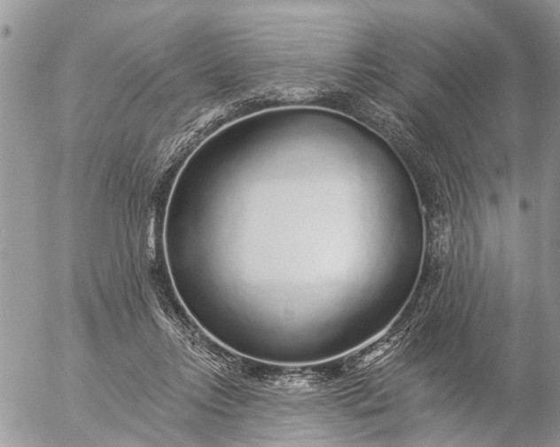 X0000057090358200509231656