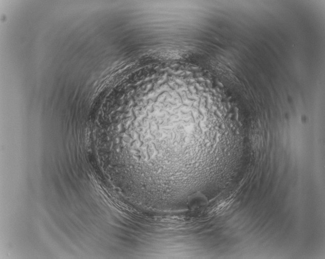 X0000057090359200509231656