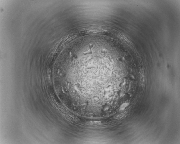 X0000057090361200509231656