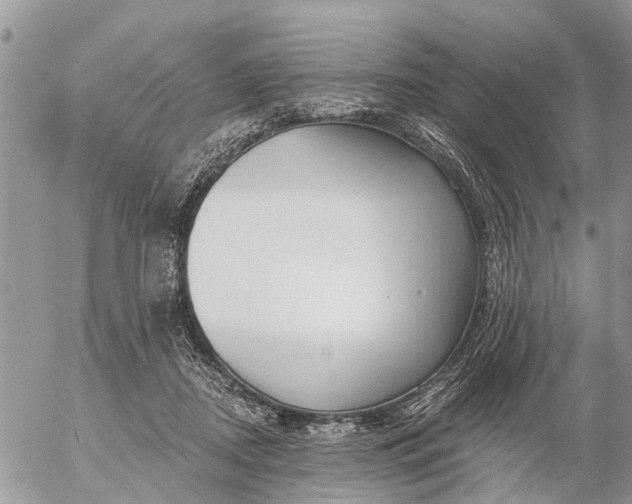 X0000057090362200509231656