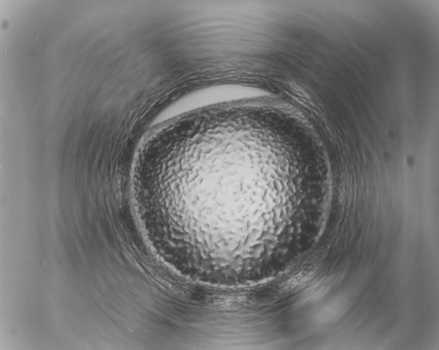 X0000057090366200509231656