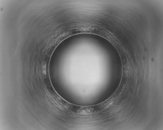 X0000057090368200509231656