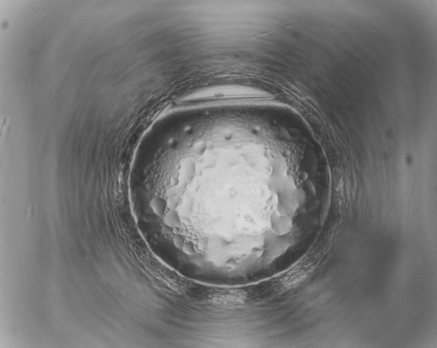 X0000057090369200509231656