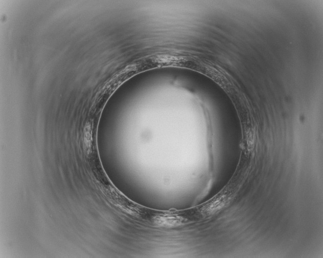 X0000057090372200509231656