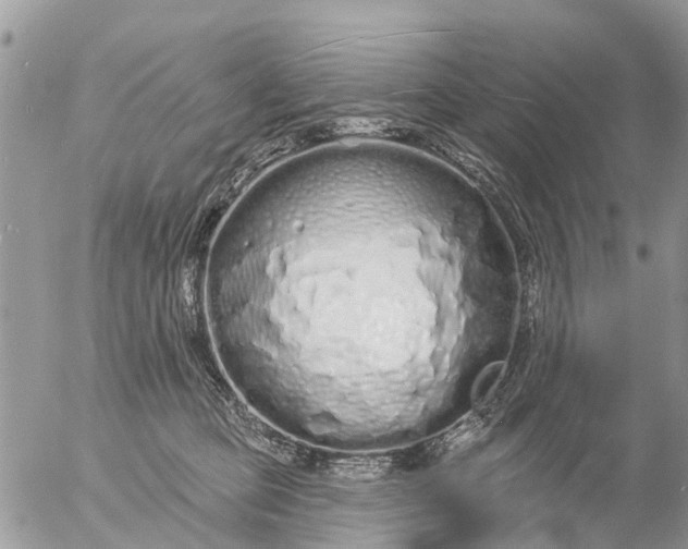 X0000057090373200509231656