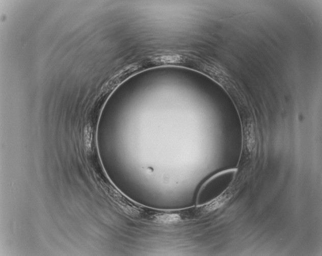 X0000057090374200509231656