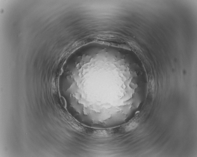 X0000057090381200509231656