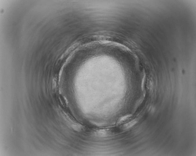 X0000057090382200509231656