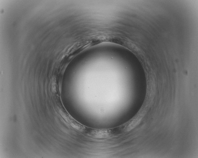 X0000057090384200509231656