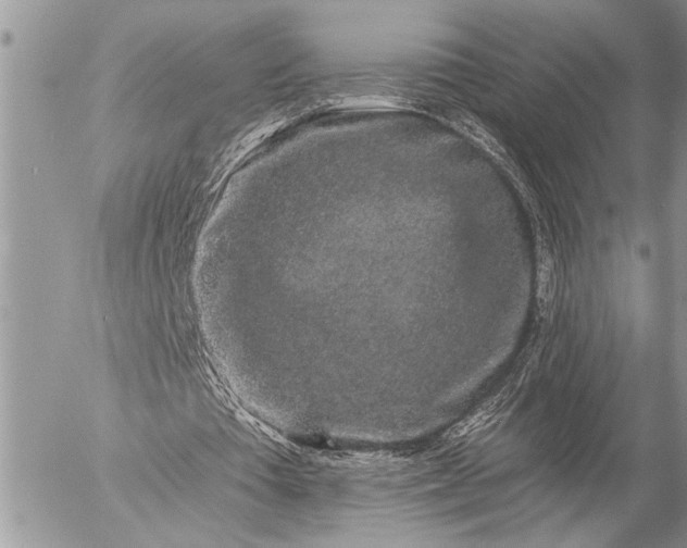 X0000057090385200509231655