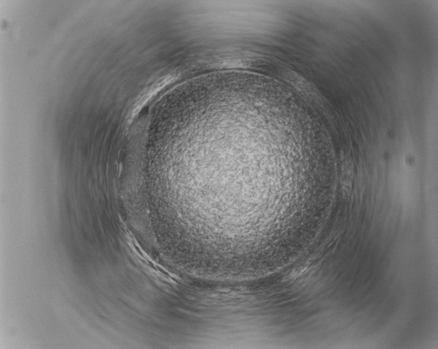 X0000057090386200509231655