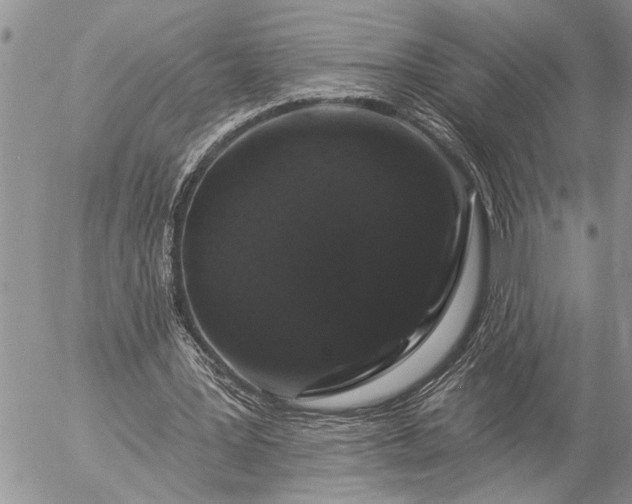 X0000057090387200509231655