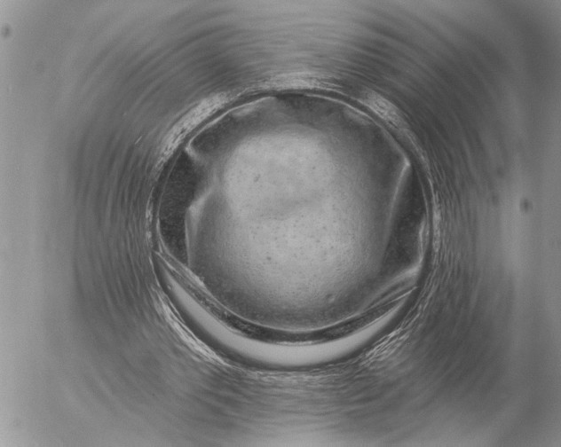 X0000057090389200509231655