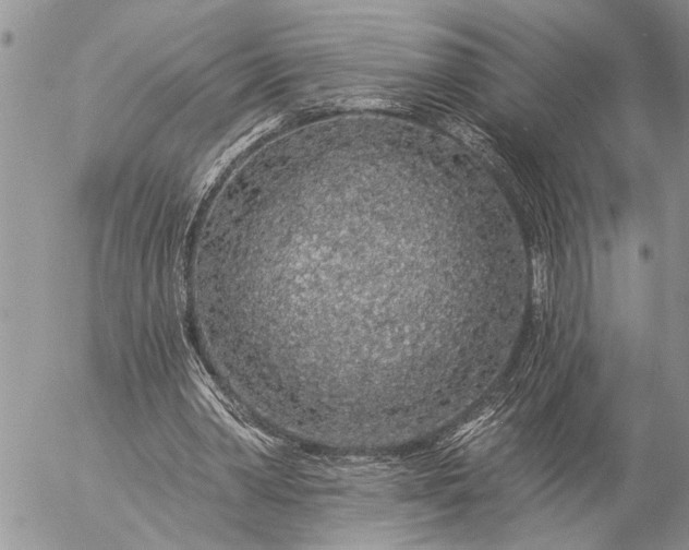 X0000057090390200509231655