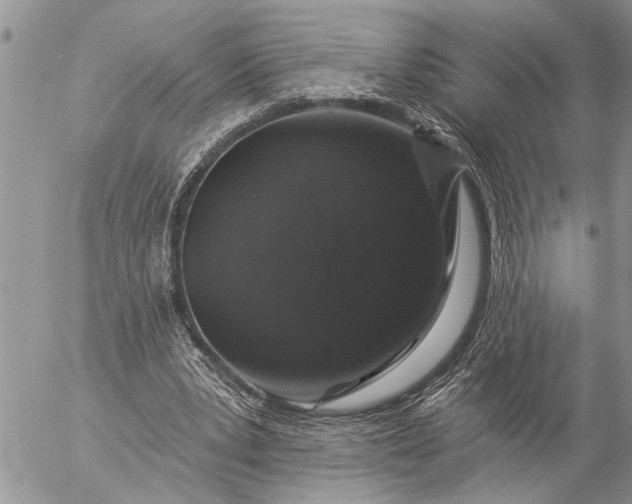 X0000057090391200509231655