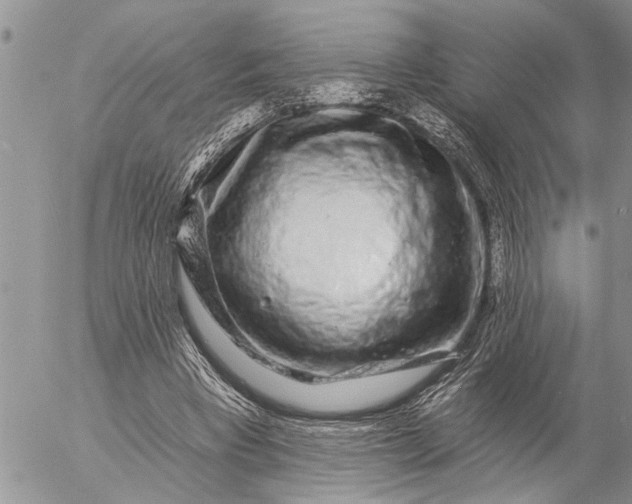 X0000057090393200509231655