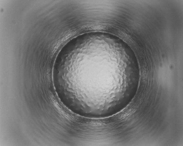 X0000057090394200509231655