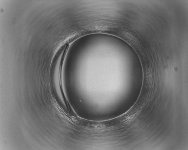 X0000057090395200509231655