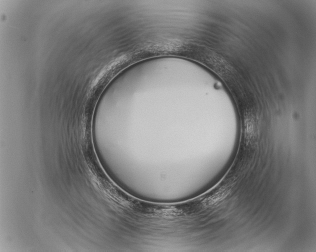 X0000057090396200509231655