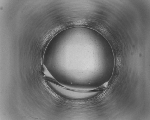 X0000057090397200509231655