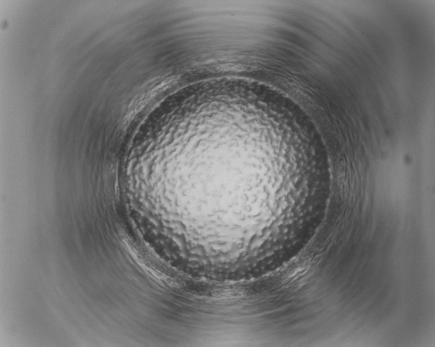 X0000057090398200509231655