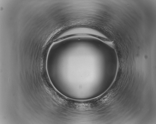 X0000057090400200509231655