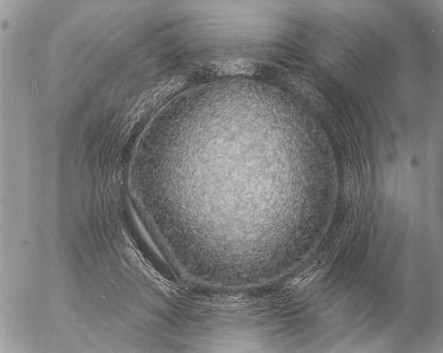 X0000057090402200509231655