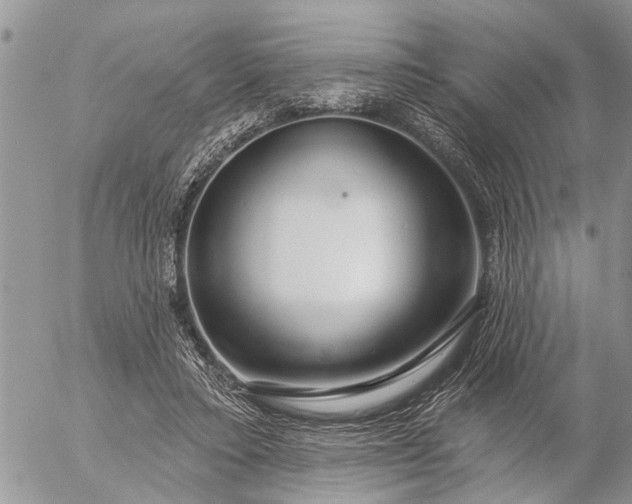 X0000057090403200509231655